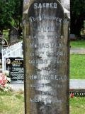 image of grave number 205879